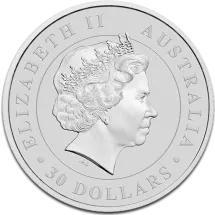 Koala 1 kilogram srebra - image 2